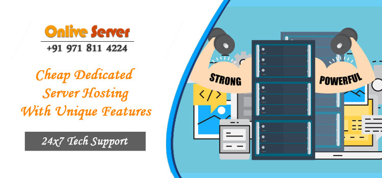 Take Your Business New Height With Cheap Dedicated Server Hosting Plans