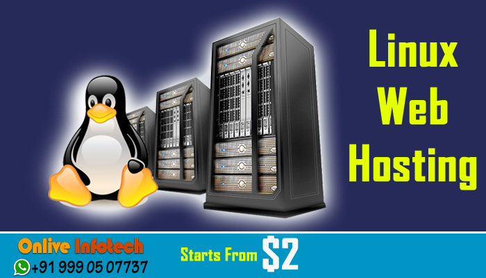All You Need to Know About LINUX Web Hosting