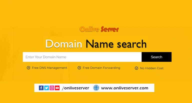 Simple Domain Name Search In Short Time by Onlive Server