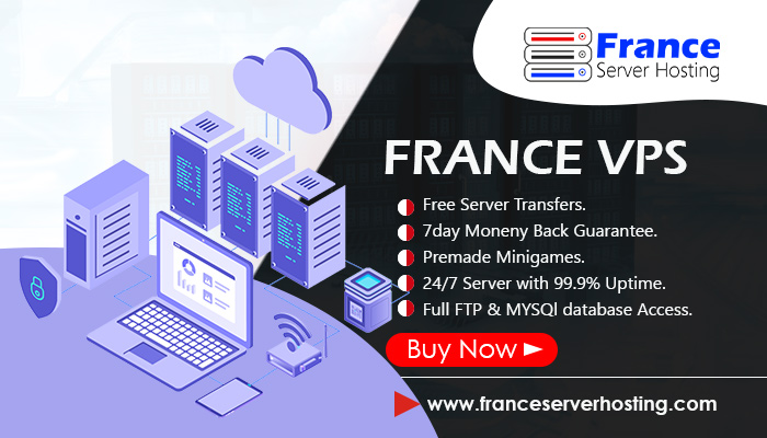 Get Valuable Ways with France VPS for Business Website