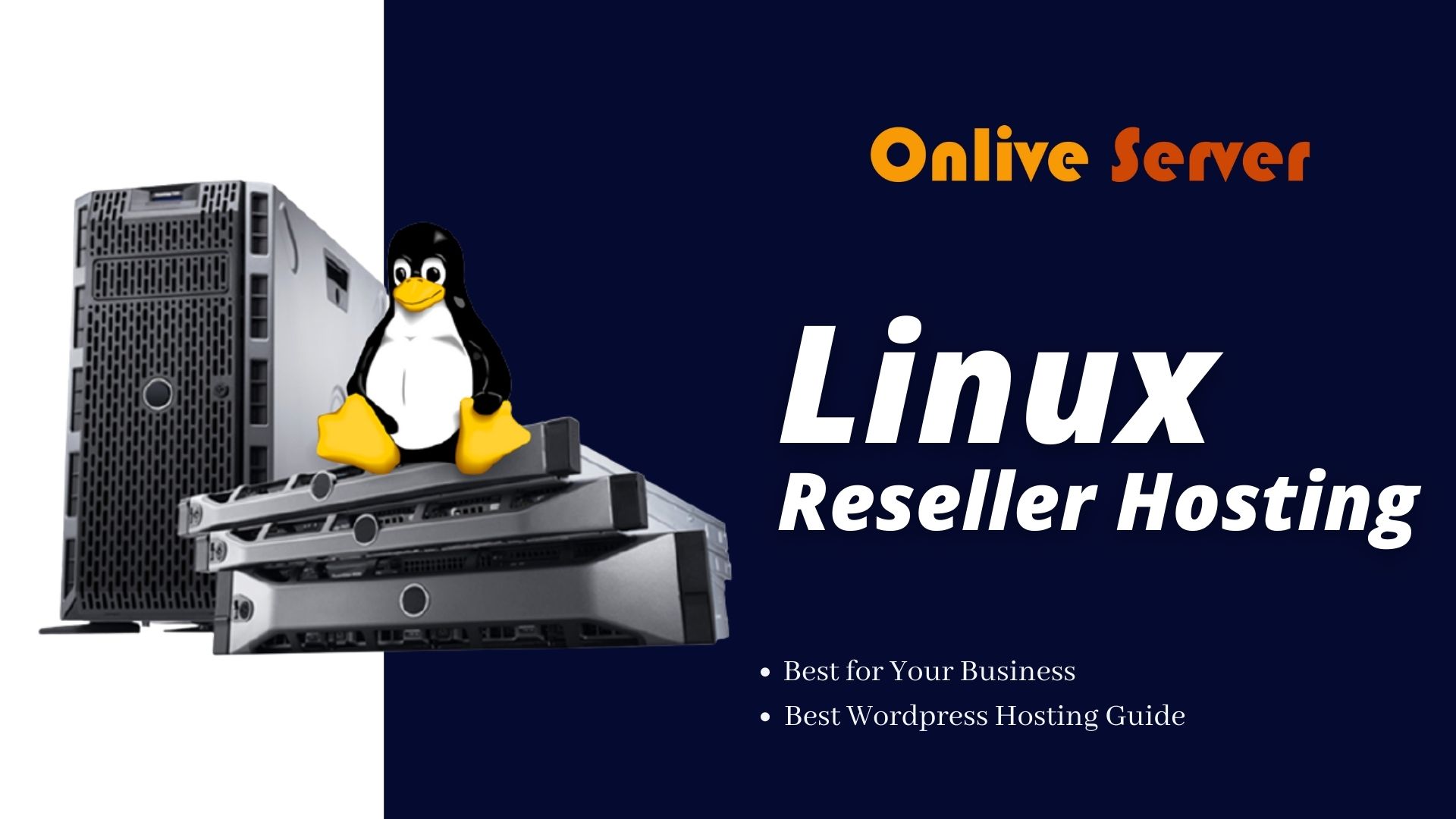 Linux Reseller Hosting