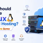 Why Should Choose Linux Shared Hosting? From OnliveServer