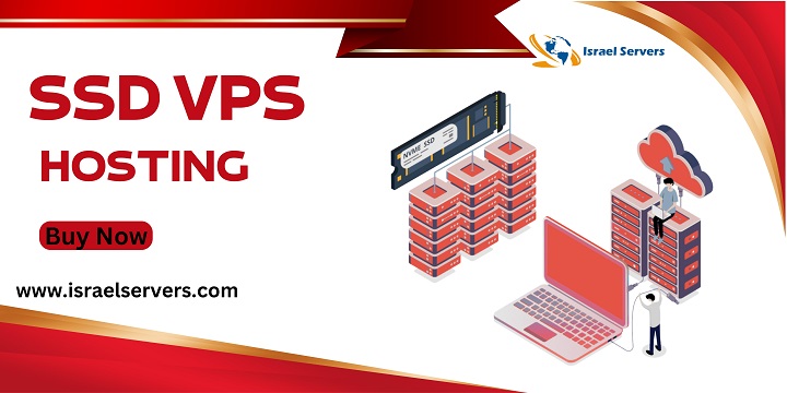 SSD VPS Hosting: Take Your Business Ahead in the Digital World